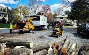 Lawn Grading and Leveling in Rock Island, IL