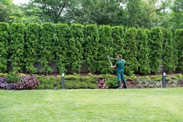 Best Seasonal Cleanup (Spring/Fall)  in Rock Island, IL